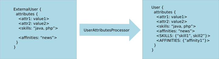UserAttributesProcessor