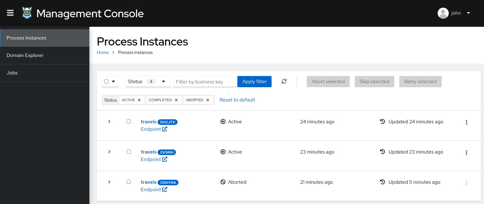 Image of process instance list section